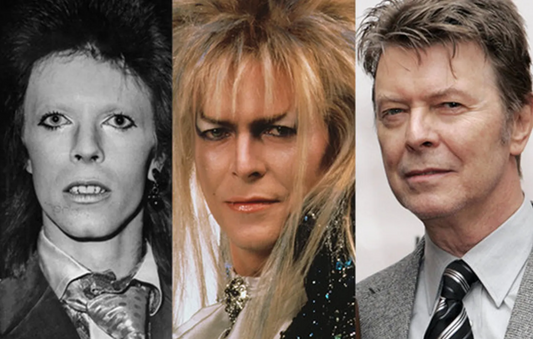 David Bowie "il camaleonte"