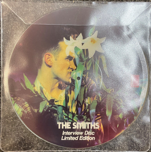 SCHUTZHÜLLEN FÜR RECORDS PICTURE DISC VINYL 12-INCH PVC 200 MY (10 Stk.)