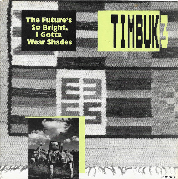 Timbuk 3 – The Future's So Bright, I Gotta Wear Shades - Vinyl 7"