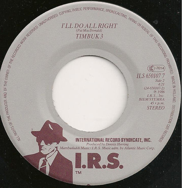 Timbuk 3 – The Future's So Bright, I Gotta Wear Shades - Vinyl 7"