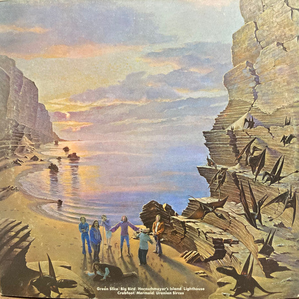 The Flock – Dinosaur Swamps - Vinyl Lp