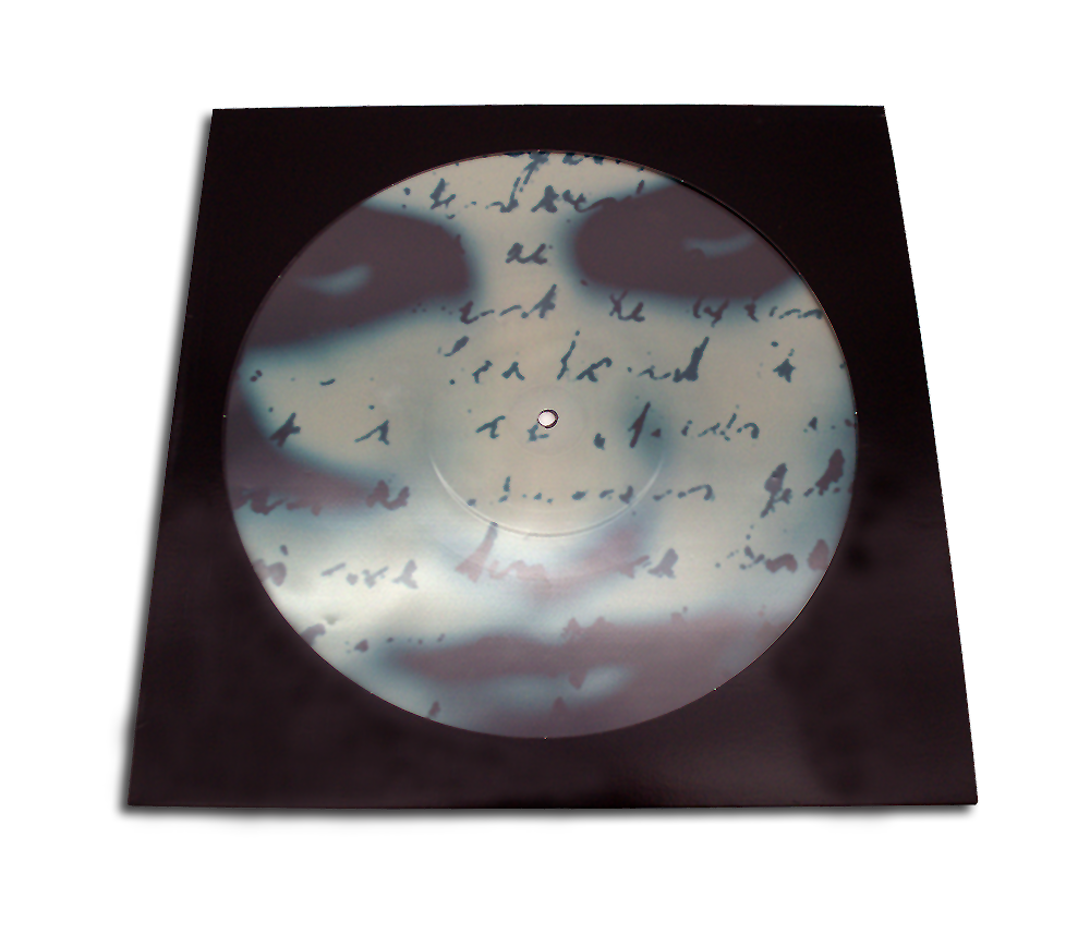 BUSTES EN POLYÉTHYLÈNE POUR DISQUES PICTURE DISC VINYLE 12 POUCES 100 MY (50 pcs)