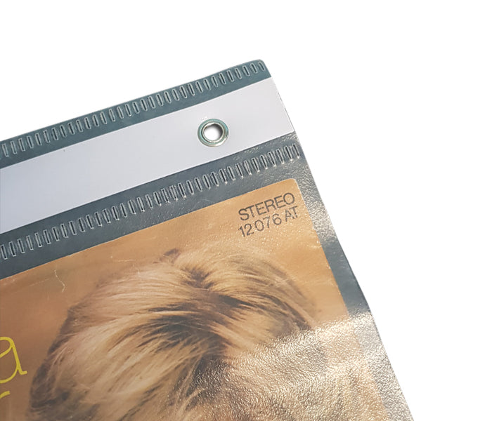 AFFICHAGE MURAL EN PVC POUR DISQUES VINYLE 45 RPM 7 POUCES